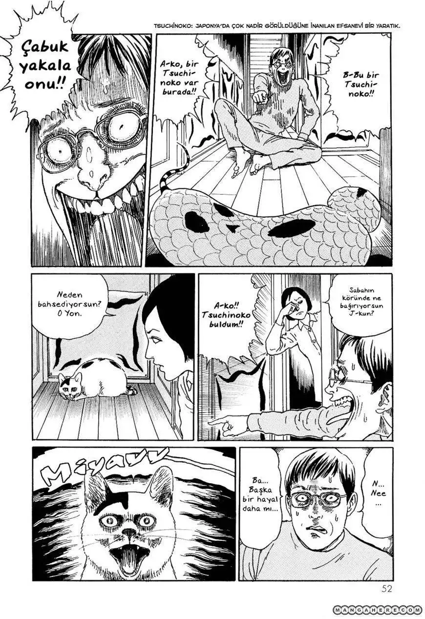 Ito Junji's Cat Diary Chapter 5 6